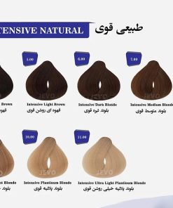 Alternative view of رنگ مو جوو مدل Excellence شماره (N4) حجم 100 میلی لیتر رنگ قهوه ای روشن